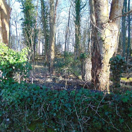 גלאזגו Dreamwood Cottage, Loch Lomond, Luxury Apartment. מראה חיצוני תמונה