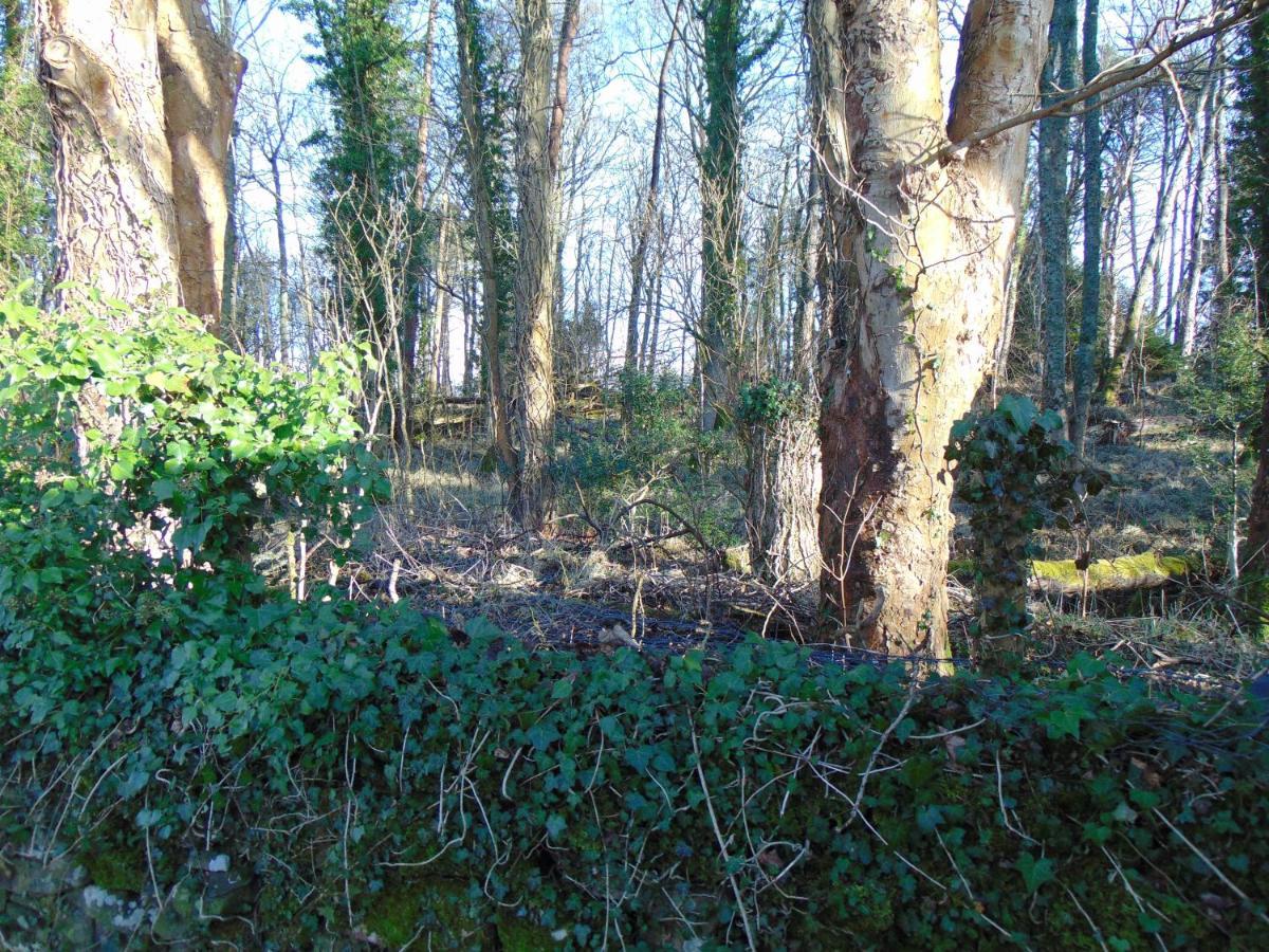 גלאזגו Dreamwood Cottage, Loch Lomond, Luxury Apartment. מראה חיצוני תמונה