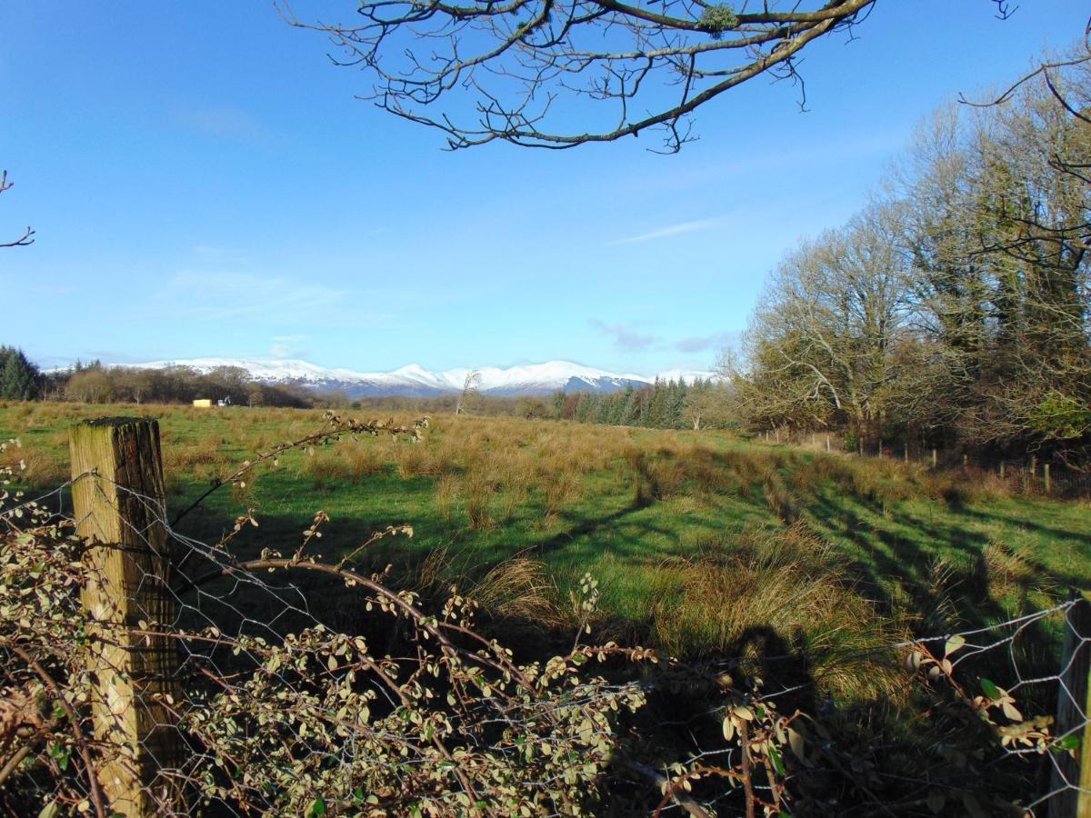 גלאזגו Dreamwood Cottage, Loch Lomond, Luxury Apartment. מראה חיצוני תמונה